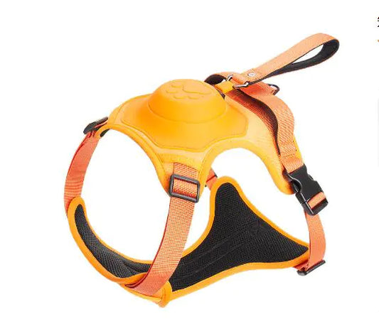 SnugStep Harness and Leash for Pets (One Piece)